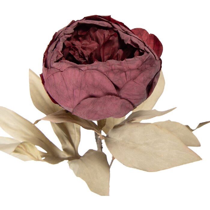 Fleur artificielle Clayre & Eef rouge-vert 11x11x62 cm