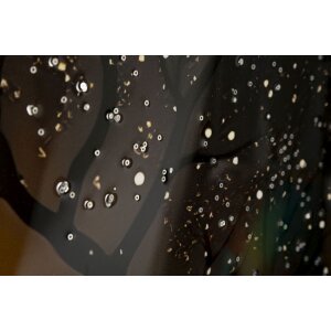 Mauro Ferretti – Tableau mural « Paon » 70x100 cm avec cadre