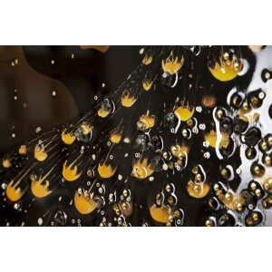 Mauro Ferretti – Tableau mural « Paon » 70x100 cm avec cadre