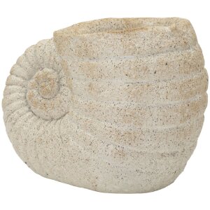 Vase coquille de mer beige Mauro Ferretti 33x19x23cm