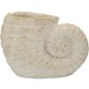 Vase coquille de mer beige Mauro Ferretti 33x19x23cm