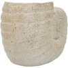 Vase coquille de mer beige Mauro Ferretti 33x19x23cm