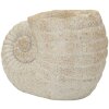 Vase coquille de mer beige Mauro Ferretti 33x19x23cm