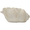 Vase Shell Sand Beige Mauro Ferretti