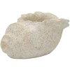 Vase Shell Sand Beige Mauro Ferretti