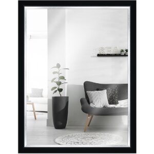 Miroir mural MendeFrames H490, bois massif, 50x65 cm,...
