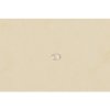 Exacompta Porte-documents avec élastique 3 rabats Manila Carton 400g DIN A4 Ivoire