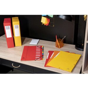 Exacompta Porte-documents avec élastique 3 rabats 400g format DIN A4 assorti