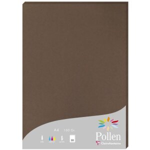Papier A4 Pollen 160g 50feuilles brun