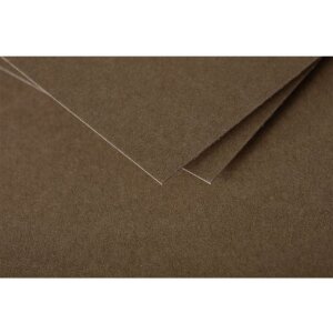 Papier A4 Pollen 160g 50feuilles brun