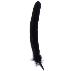 Plume doie, 28 cm de long - bleu