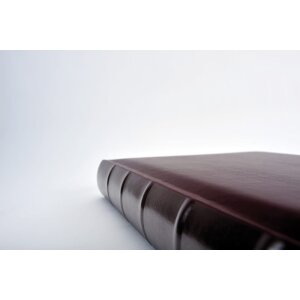 Walther Album photo Classic vin rouge 26x25 cm 60 pages blanches