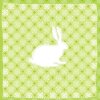 Serviettes en papier 33x33 cm lapin motif vert