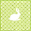 Serviettes en papier 33x33 cm lapin motif vert